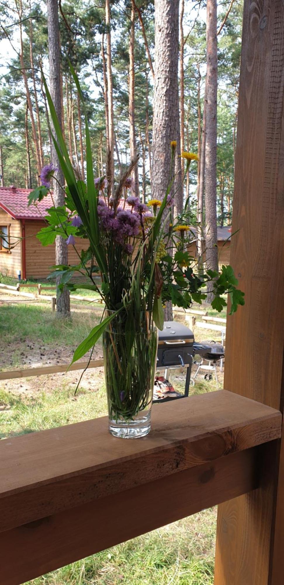 Holiday home Oslo N°29 Letniskowy Borsk
